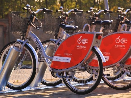 Chorzów zwycięża w plebiscycie. Doceniono transport rowerowy