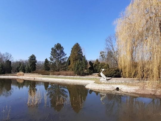 Chorzowski "Byliniak" niebawem wypięknieje