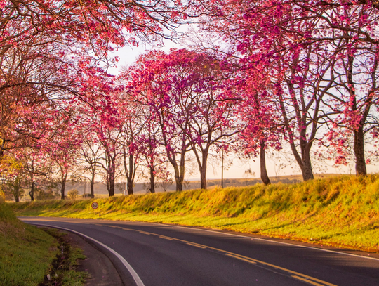 Chorzowskie drogi po zimie — jak stan ulic niszczy amortyzatory i opony (i co z tym zrobić)
