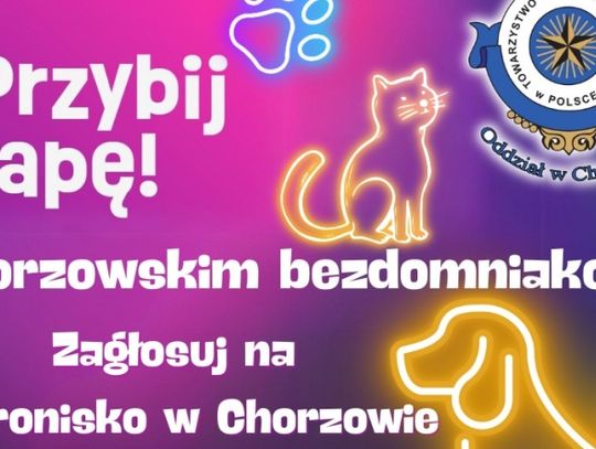 Chorzowskie schronisko z szansą na 40 tysięcy zł. Wszystko w rękach internautów!