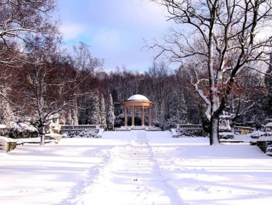 Co dalej z prezesem Parku Śląskiego?