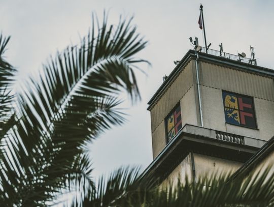 Co łączy budżet miasta z pizzą?