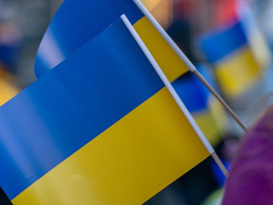 Coraz większa liczba cudzoziemców w ubezpieczeniach społecznych. W Chorzowie to ponad 18 tysięcy osób