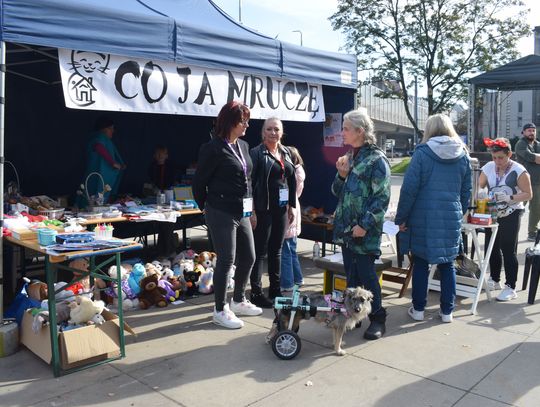 Coś dla małych, dużych i tych na czterech łapach! Przed nami "Zwierzoteka"