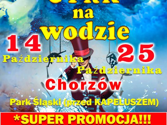 Cyrk na wodzie Imperial Show zaprasza do świata fontann, świateł i akrobacji