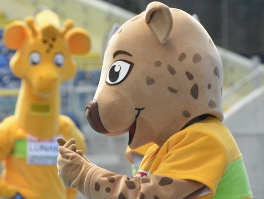 Drużynowe Mistrzostwa Europy odbędą się z udziałem publiczności