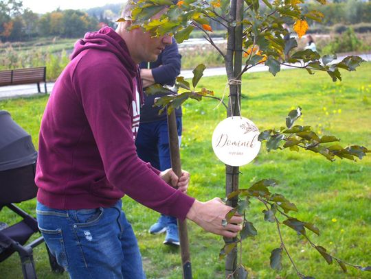 "Drzewko za dziecko" w Świętochłowicach. Kolejna edycja społecznej inicjatywy prezydenta Daniela Begera "Drzewko za dziecko" w Świętochłowicach. Kolejna edycja społecznej inicjatywy prezydenta Daniela Begera