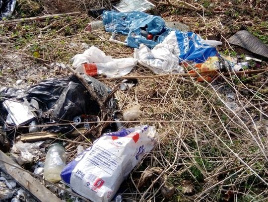 Dwa zgłoszenia w ramach inicjatywy Czysty i zielony Chorzów