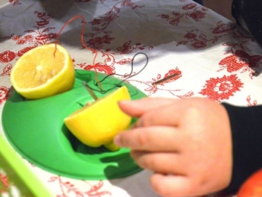 Dziecięca Akademia Nauki