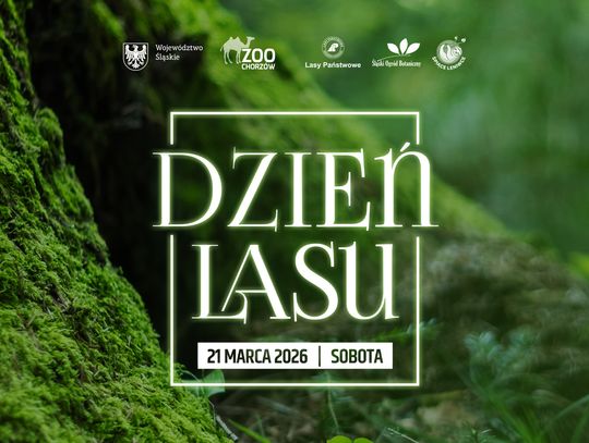 Dzień Lasu w Śląskim ZOO – wspólne świętowanie wśród przyrody