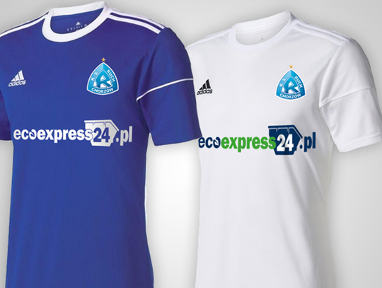 ecoexpress24.pl na koszulkach Ruchu