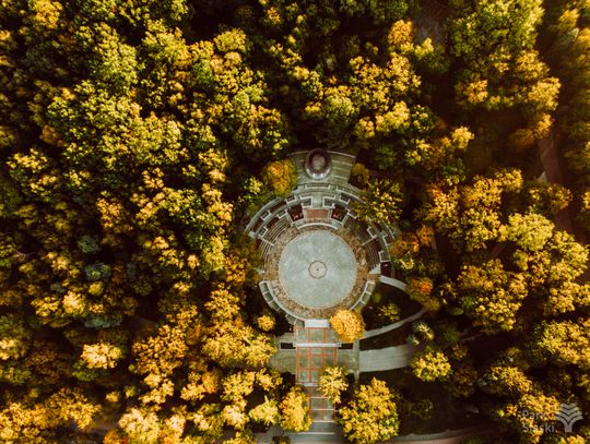 EKOPARK – zielona perła Śląska. Rusza niezwykła podróż do świata bioróżnorodności