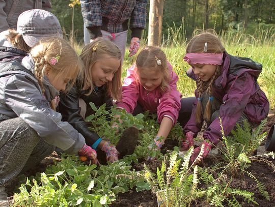 "Ekoprzedszkolak" wystartował! Można już składać wnioski