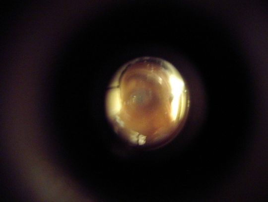 Fałszywy pracownik wodociągów okradł seniorkę