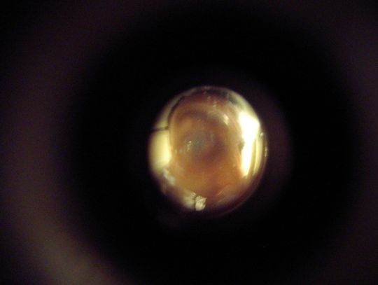 Fałszywy pracownik wodociągów okradł seniorkę