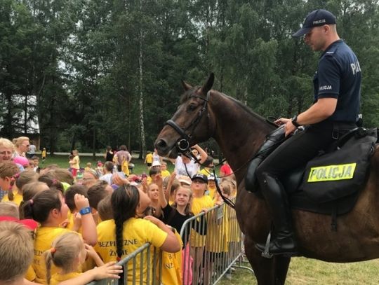 Finał programu "Bezpieczne życie" [ZDJĘCIA]