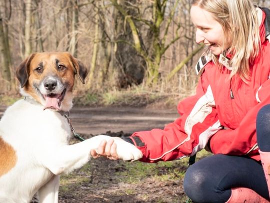 Fundacja S.O.S. od lat pomaga najbardziej potrzebującym zwierzętom. Ty też możesz to zrobić!