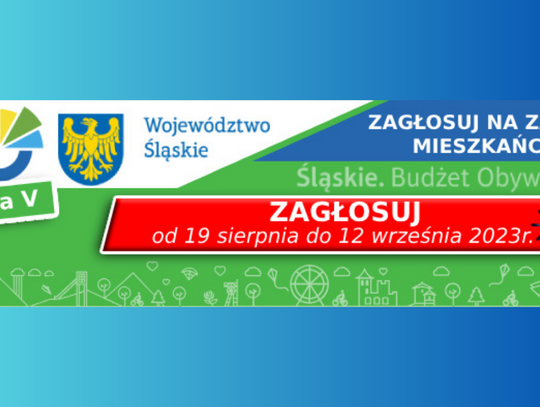 Głosowanie w ramach Marszałkowskiego Budżetu Obywatelskiego właśnie ruszyło. Wśród projektów znajdziemy kilka związanych z Chorzowem