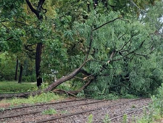 Gwałtowne burze nad Śląskiem. Świętochłowice z licznymi zniszczeniami i utrudnieniami w komunikacji