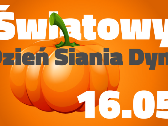 I ty możesz zasiać dynię w Chorzowie