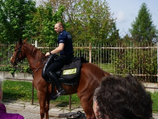 Integracja międzypokoleniowa chorzowskich konnych [ZDJĘCIA]