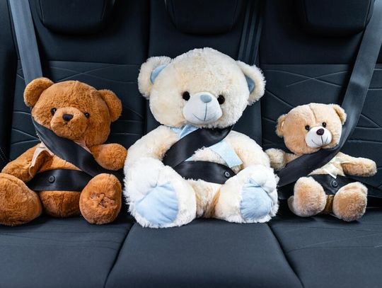 Jak wybrać naprawdę bezpieczny samochód w 2025 roku?