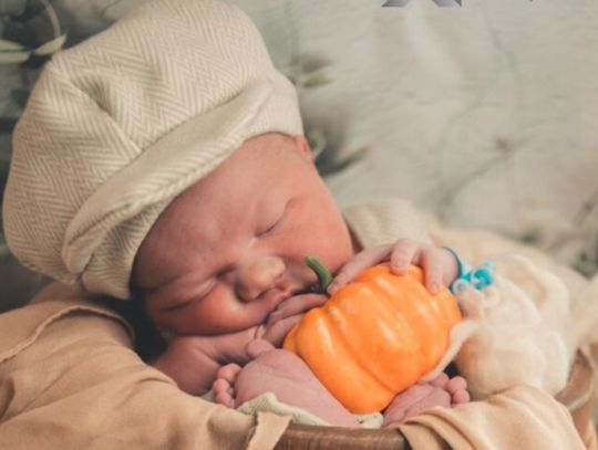 Jesień pełna kolorów i kreatywności w świętochłowickim szpitalu Jesień pełna kolorów i kreatywności w świętochłowickim szpitalu