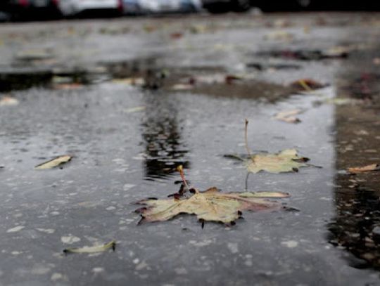 Jesień więcej niebezpieczeństw na drogach niesie