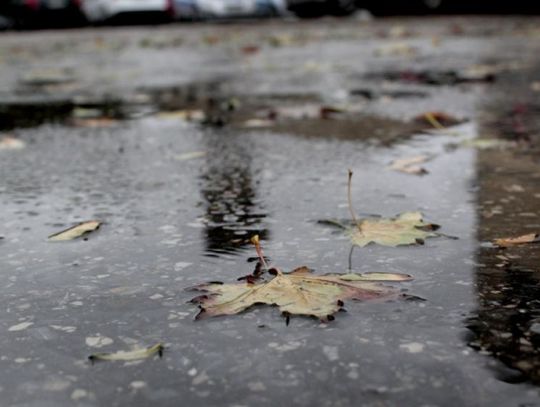 Jesienią szczególnie uważajmy na drodze