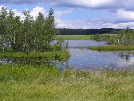 Kaszuby i domki całoroczne: przygoda na weekend dla całej rodziny