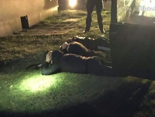 Katowiccy pseudokibice zatrzymani w Chorzowie