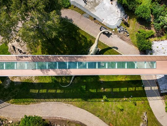 Kładka nad Kotliną Dinozaurów już dostępna dla zwiedzających!