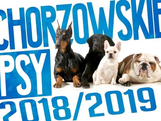 Kolejna edycja akcji „Chorzowskie Psy”