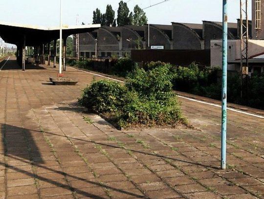 Kolejna tragedia na torach w Świętochłowicach. To śmiertelne potrącenie