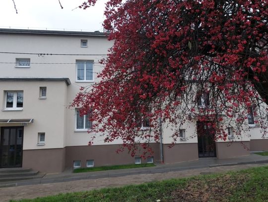 Kolejne 10 budynków z zasobów PGM czeka termomodernizacja [ULICE]