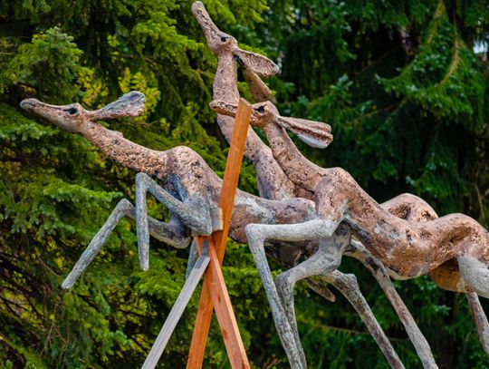 Kończą się prace konserwacyjne rzeźby "Łanie"