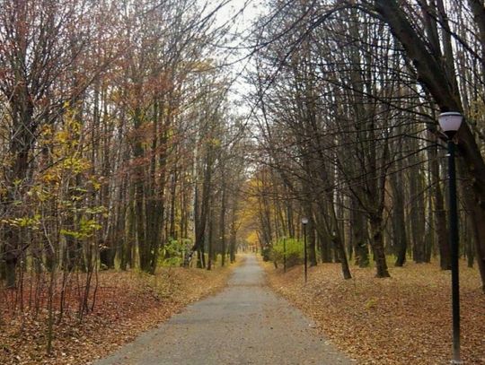 Konkurs na stanowisko prezesa Parku Śląskiego