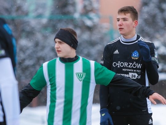 Kozłenko blisko Ruchu