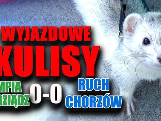 Kulisy i skrót meczu z Olimpią [WIDEO]