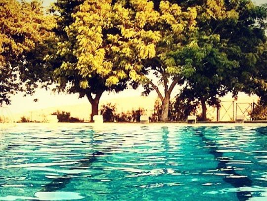 Kultowa "Fala" doczeka się modernizacji