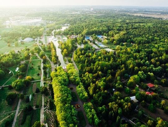 Kwietne łąki w Parku Śląskim