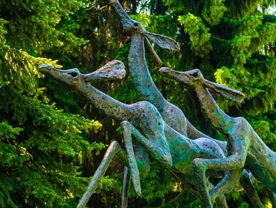 "Łanie" ponownie zachwycają