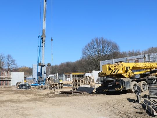 Las deszczowy w Chorzowie? W śląskim zoo trwa budowa nowej ekspozycji