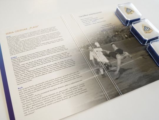 Licytacja kolekcji odznak - tom I