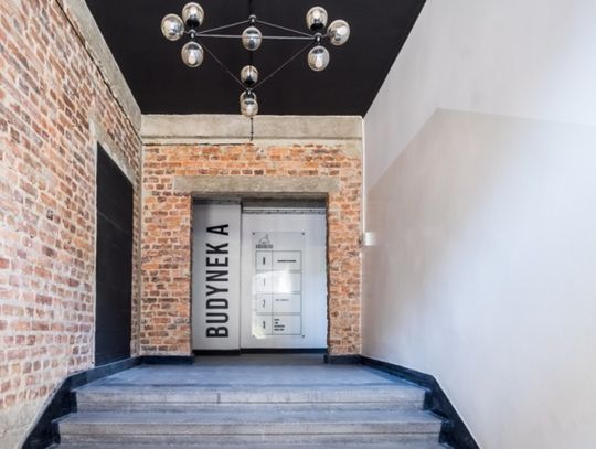 Lofty Kościuszko budzą się do życia