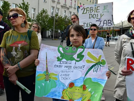 Manifestacja w ochronie Żabich Dołów