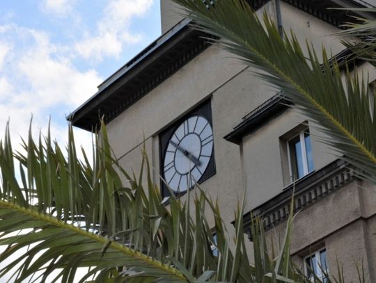 Maskotki w obronie zwierząt