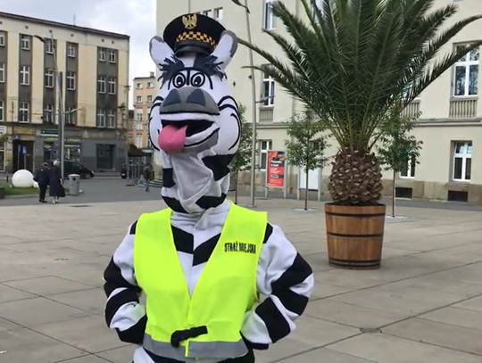 Maskotki zawładną rynkiem