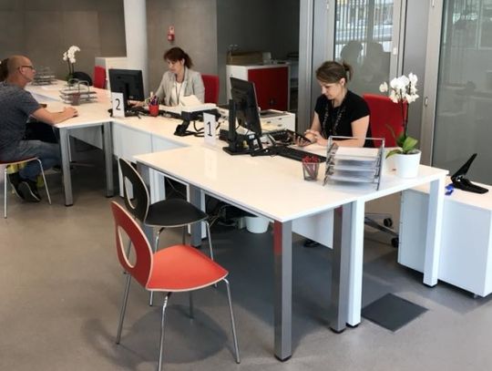 Miasto chce skrócić kolejki dla rejestrujących pojazdy