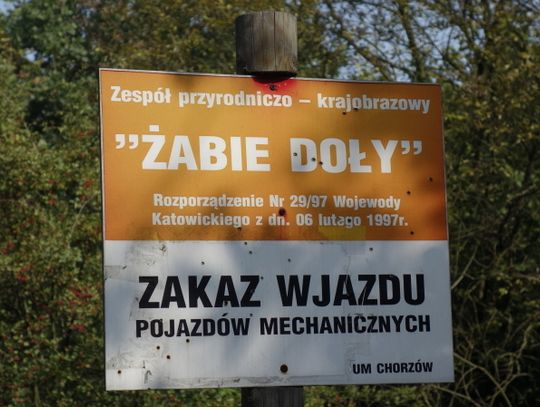 Miasto przyjrzy się Żabim Dołom